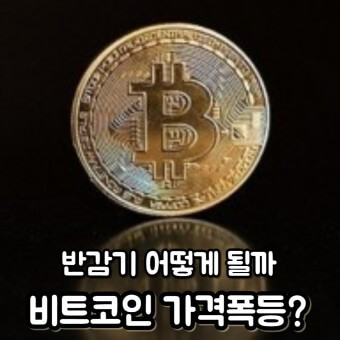 비트코인 가격 폭등 가능성