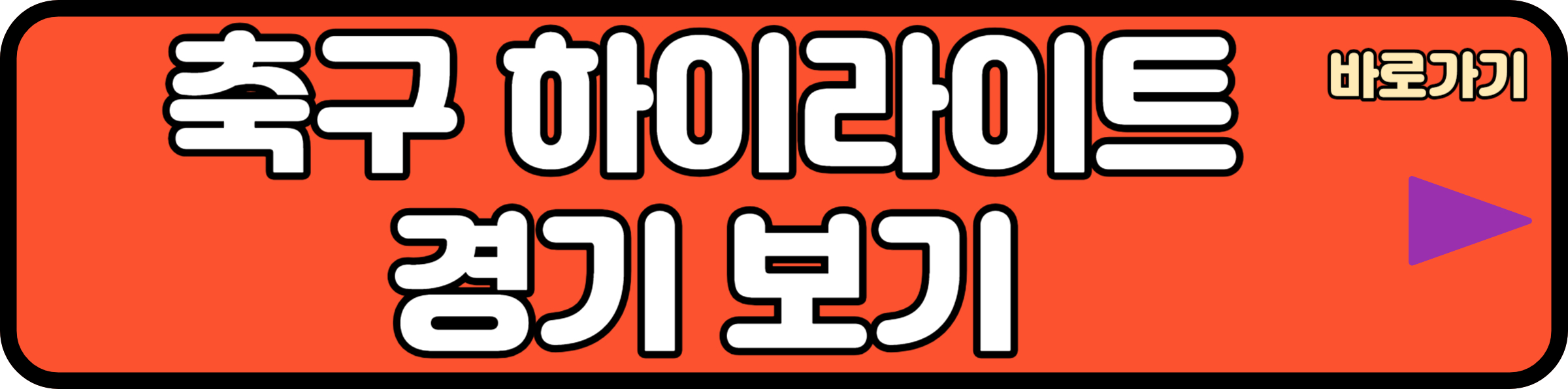 하이라이트 영상