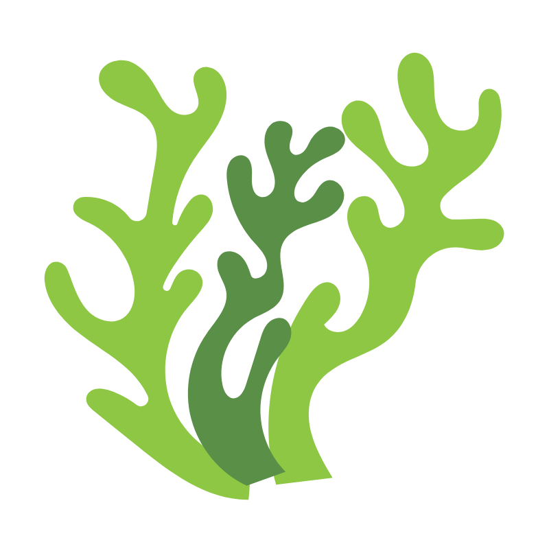 칼슘 많은 음식