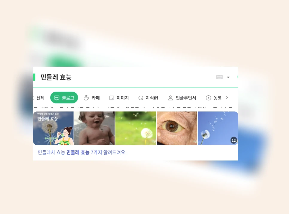 민들레 효능_1_subsection