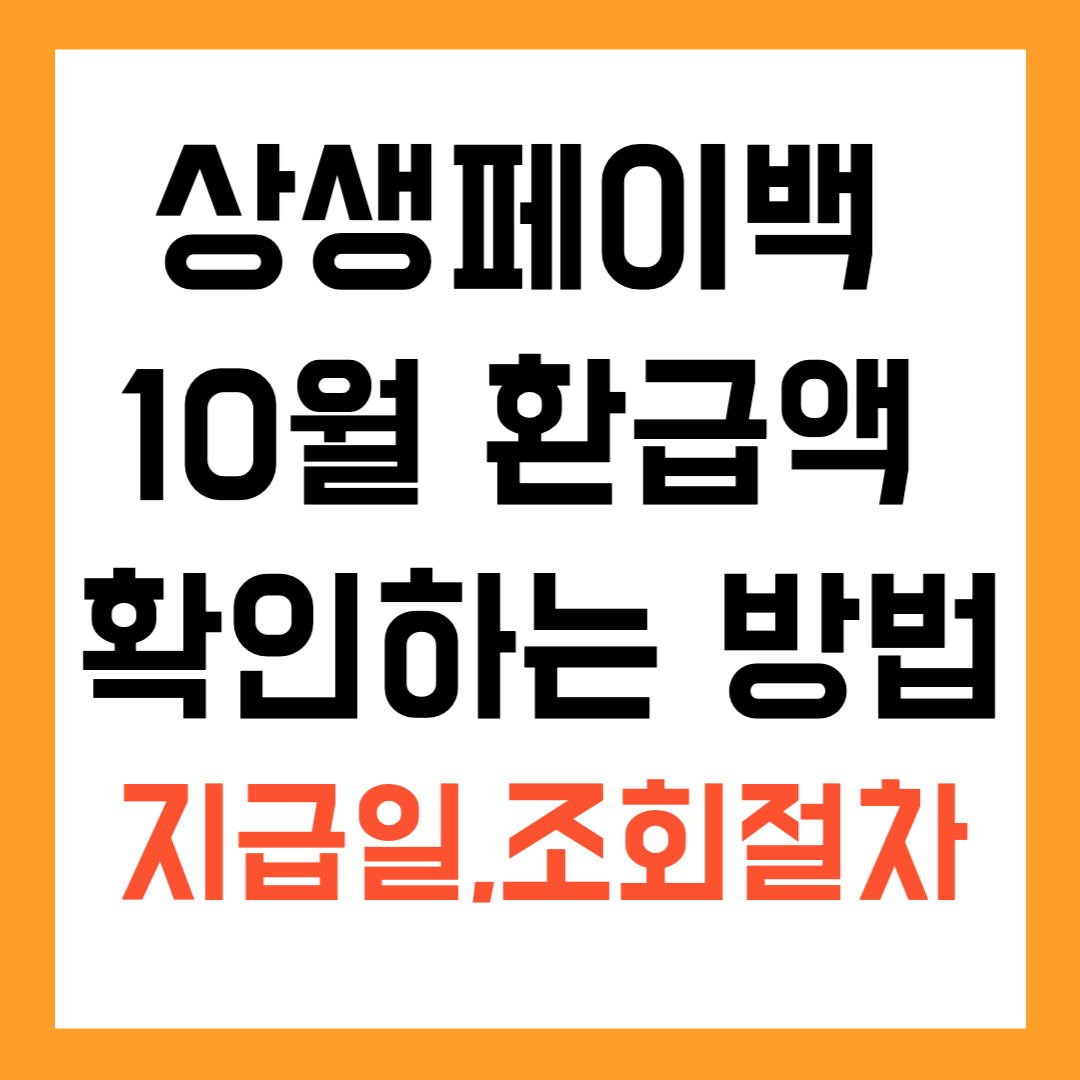 상생페이백 10월 환급액 확인하는 방법|지급일·조회 절차·계산법까지 총정리