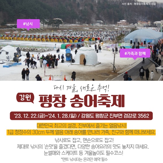 평창 송어축제