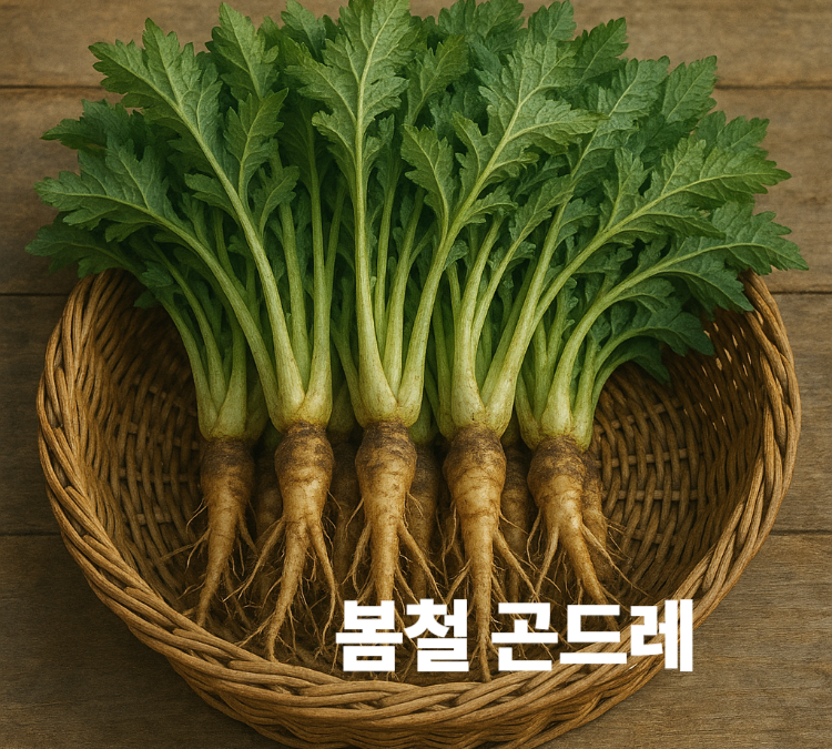 변비예방 칼슘 마그네슘 풍부 항산화작용 당뇨예방 곤드레 효능 영양