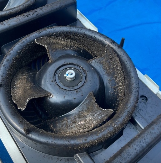 생생정보-청소업체-청아람케어