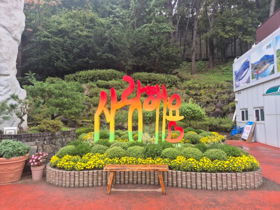 대전 당일치기 힐링 여행