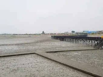 무안 가볼만한곳 베스트10 현지인 추천 필수코스_19