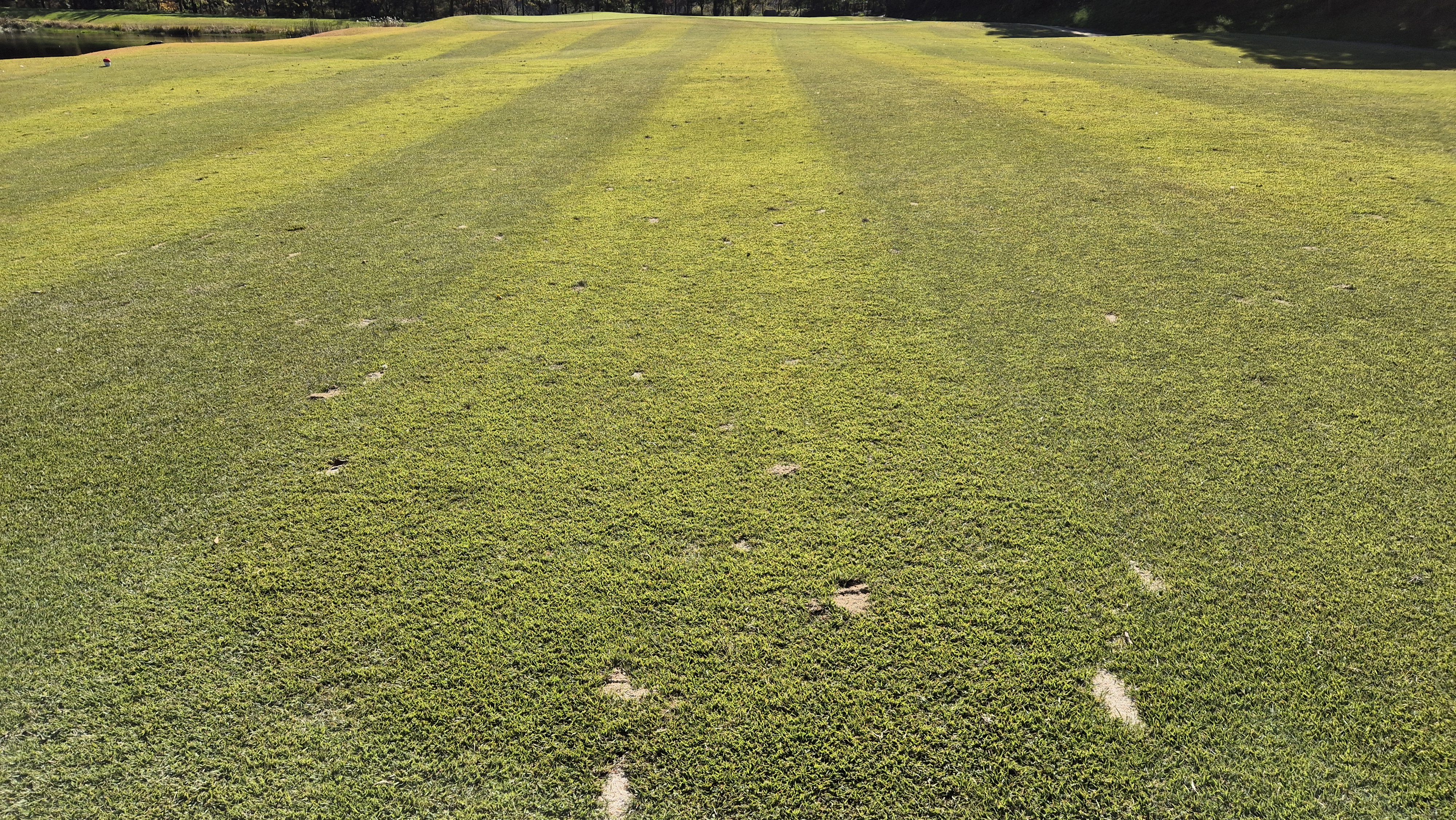 동촌gc 코스 관리 상태