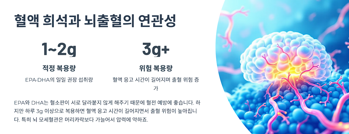 혈액 희석과 뇌출혈의 연관성