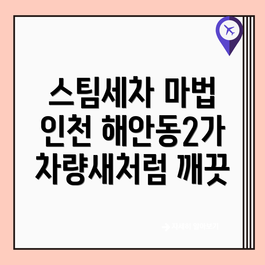 스팀세차