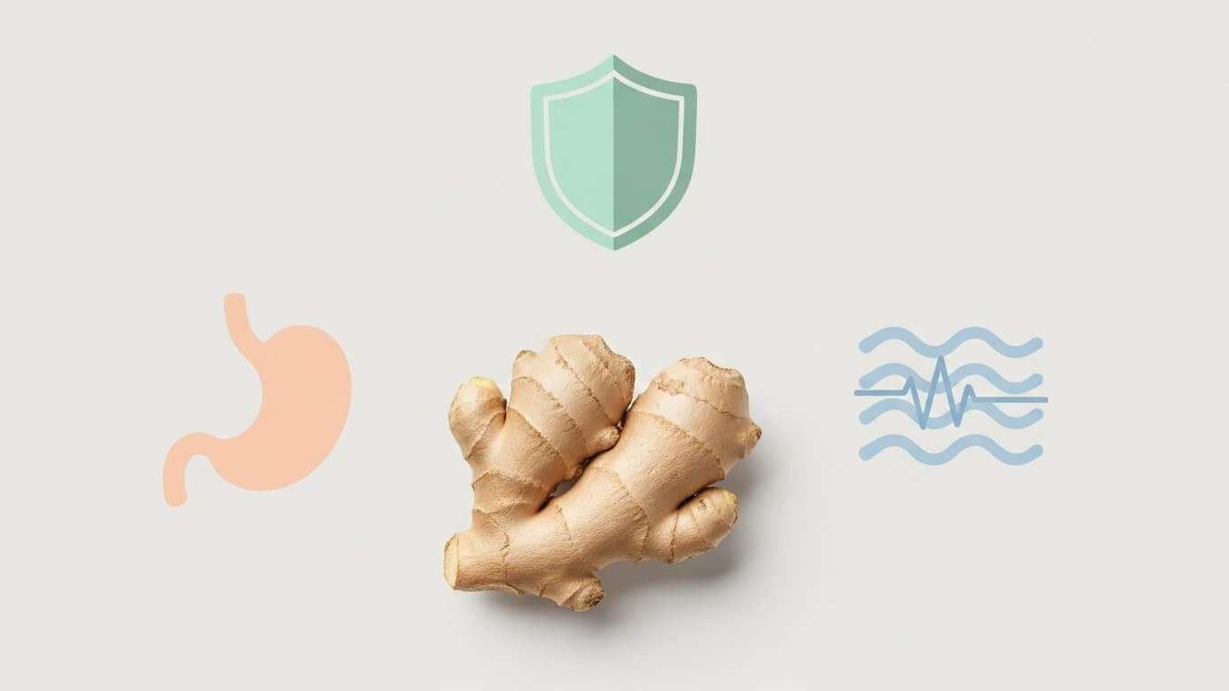 생강의 기타 성분과 종합 효능