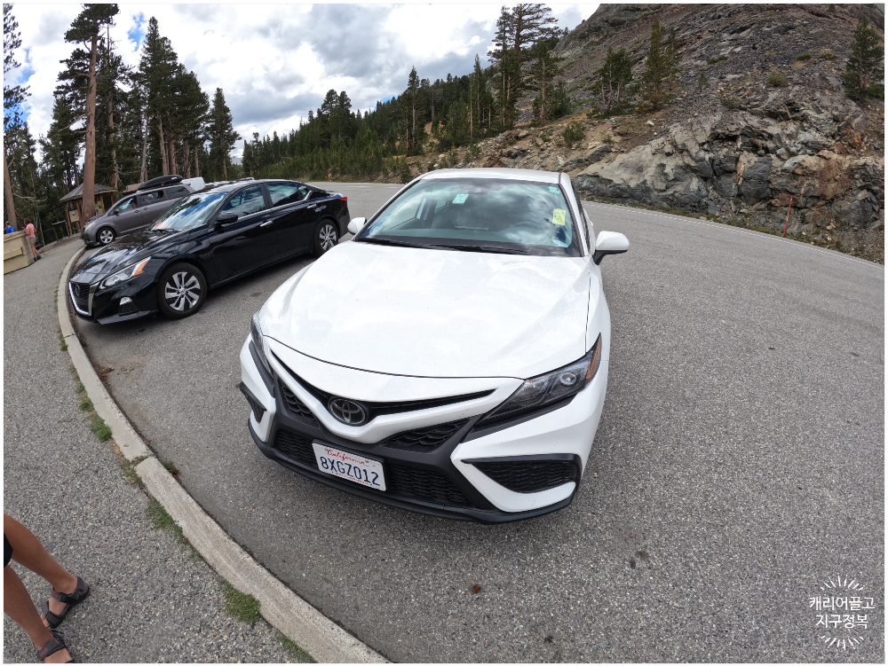 캠리에 들어가는 캐리어수