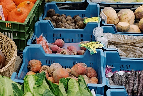 1. 영양소가 풍부하다