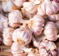 수족냉증에 좋은 음식