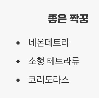 합사 - '느긋한 신사'의 짝꿍 찾기