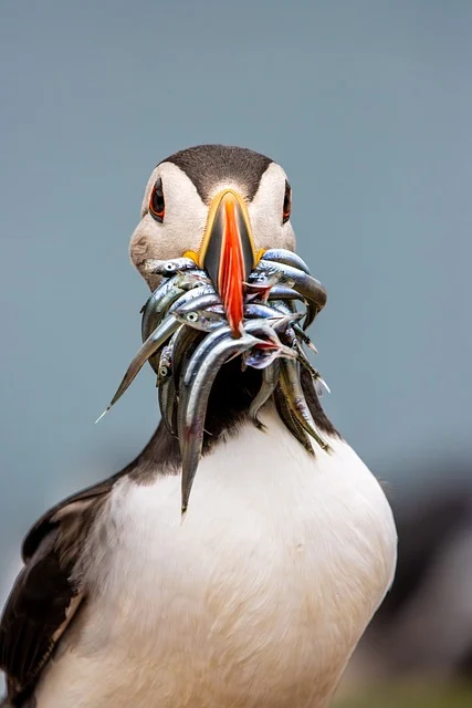 경기도 결혼지원금