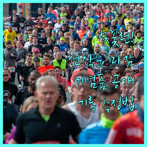 한강 벚꽃 레이스 참가 신청 및 기념..