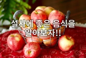 설사에 좋은 음식 총정리 소화기 건강 식단_10