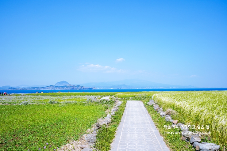 제주도 가볼만한곳 10곳