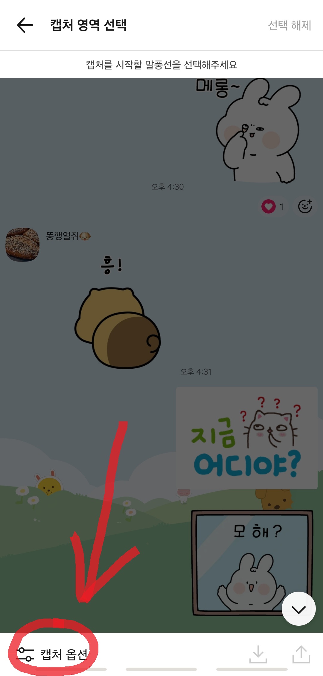 카카오톡 대화 캡처 옵션 안내 이미지