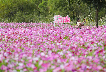 밀양-초동연가길