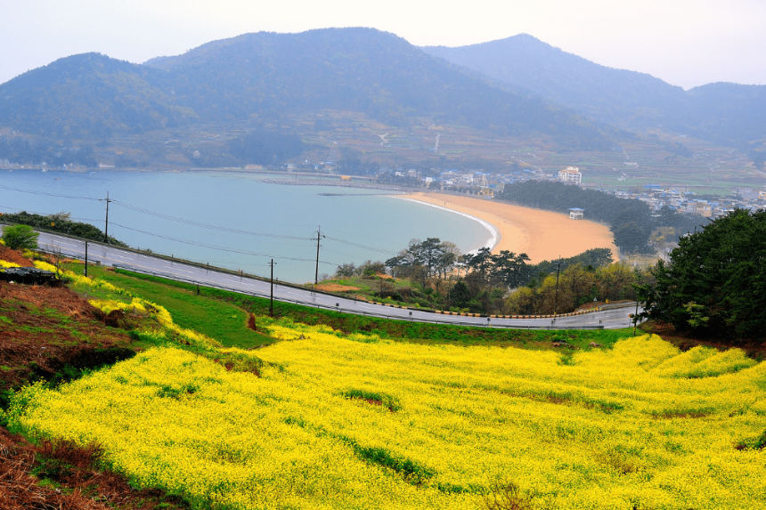 남해 여행 가이드 : 꼭 가봐야 할 명소 &amp; 맛집 추천