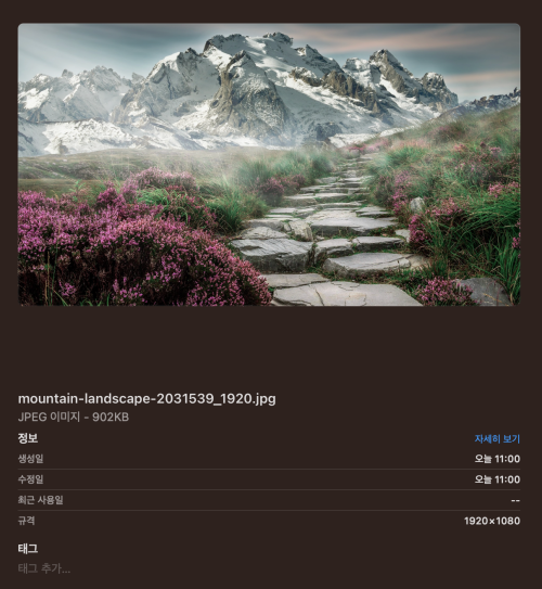 원본사진