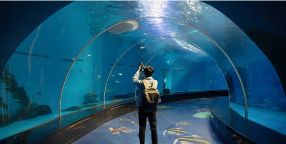 대구에서 가족과 함께하는 완벽한 여행