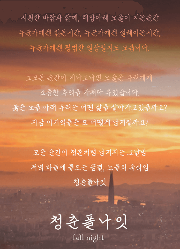 2024 청춘폴나잇