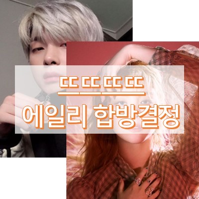 뜨뜨뜨뜨 에일리 합방