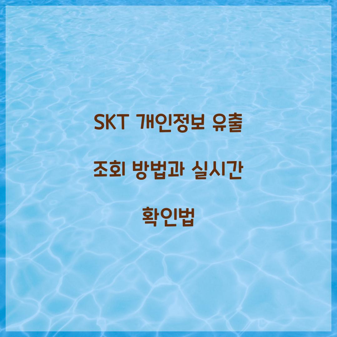 SKT 개인정보 유출 조회