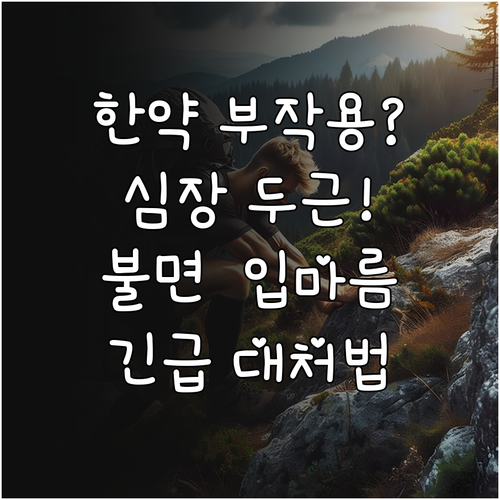 다이어트 한약 심계항진 불면증 입마름..