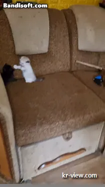 img.webp?credential=yqXZFxpELC7KVnFOS48ylbz2pIh7yKj8&expires=1767193199&allow_ip=&allow_referer=&signature=VopktsmfIJyAX4JTRZN%2F4aMAKM0%3D