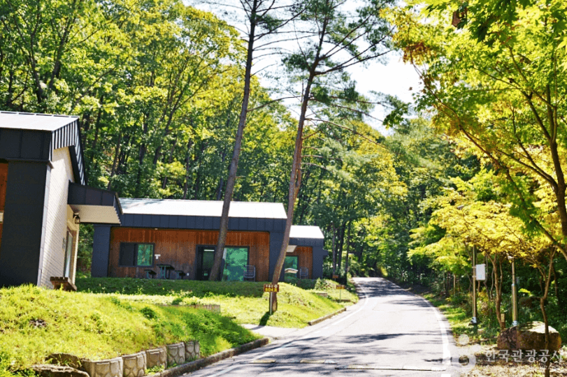 국립 대야산 자연휴양림
