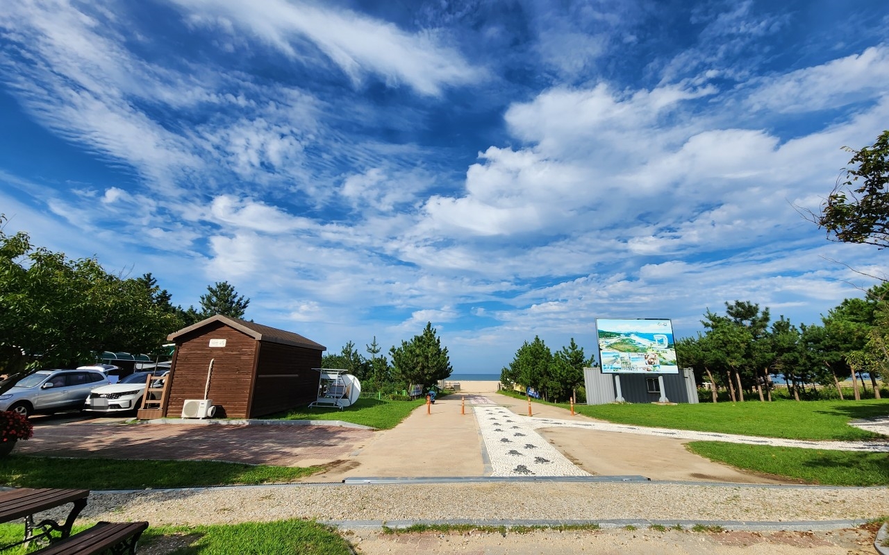 송지호 오토캠핑장 해변으로 가는길