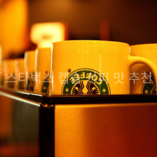스타벅스 캡슐 커피 맛 추천3