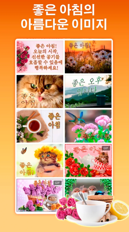 생일 카드, 생일 축하 GIF 카드 메시지 모음