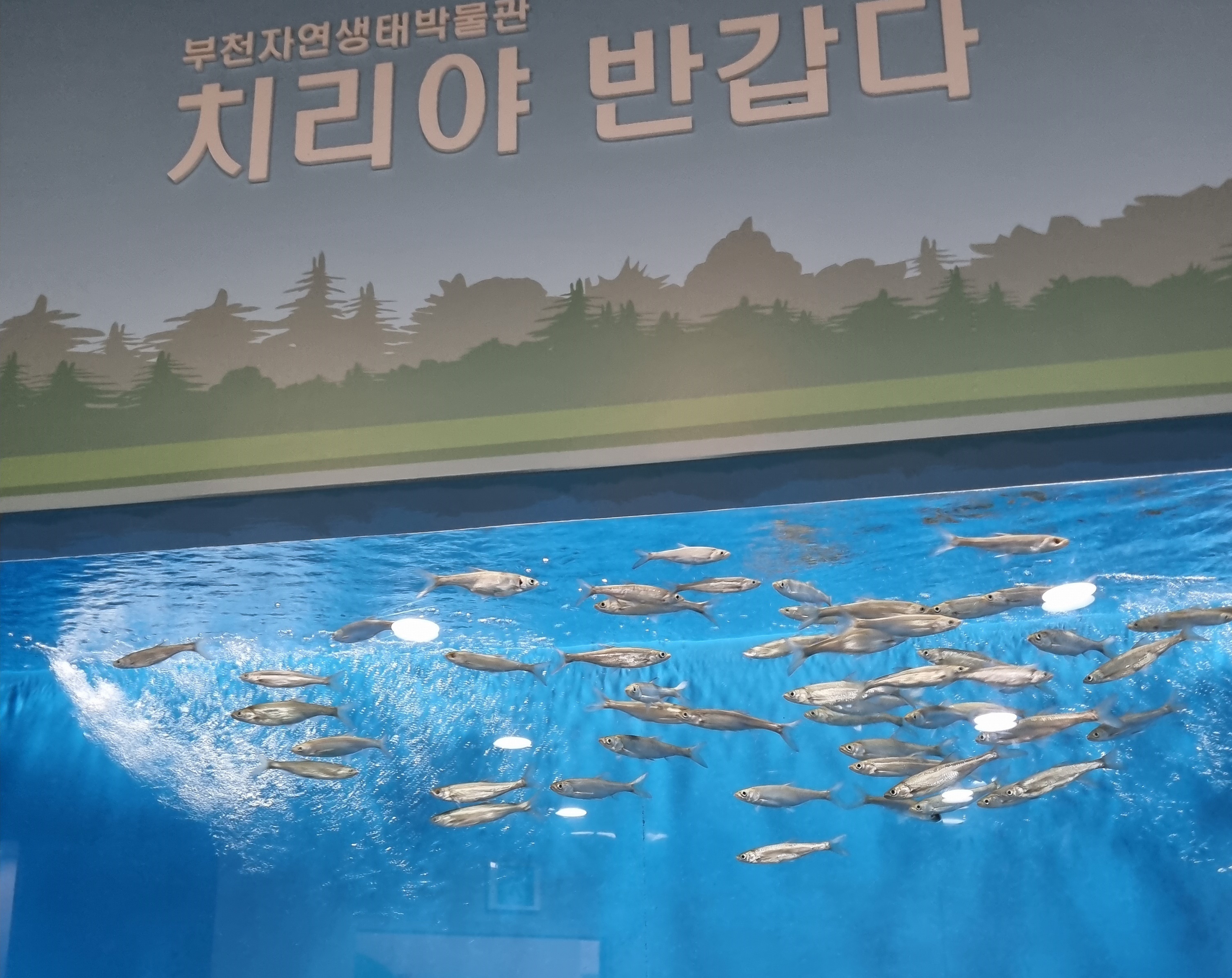 부천 가볼만한 곳 자연생태공원