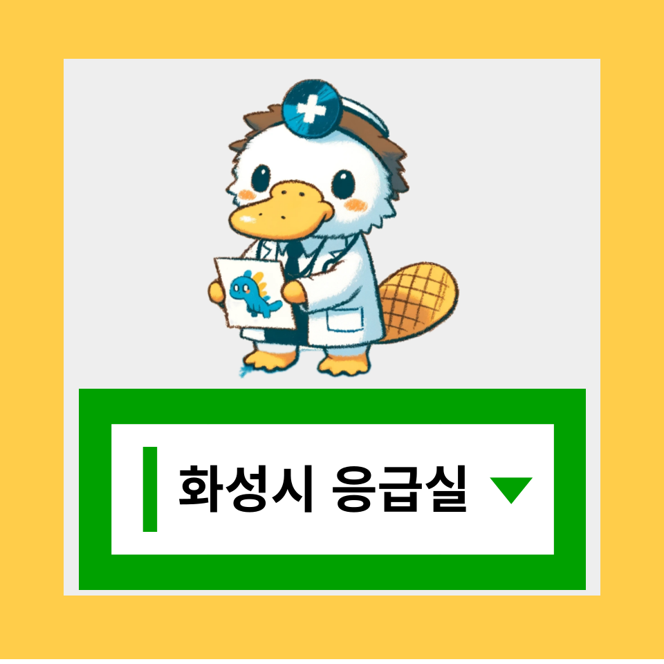 화성시 응급실