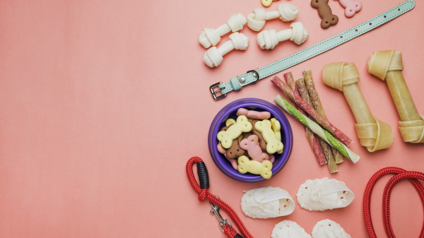 강아지 간식 이미지