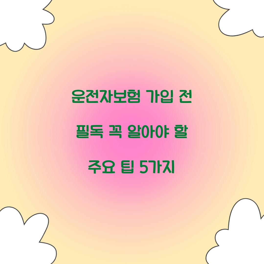 운전자보험 가입 전 필독