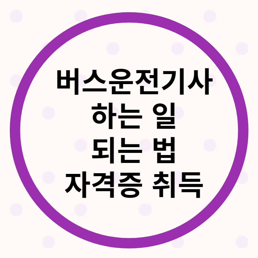 버스운전기사 되는 법, 자격증