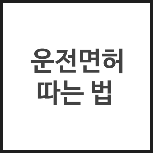 운전면허-따는-법