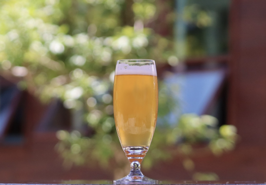 아사히 맥주 생맥주 쇼쿠사이 가격인상