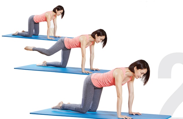 네 발 자세로 엉덩이 들어주기