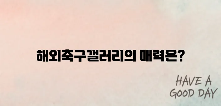 해외축구갤러리 통해 팬들과 소통공간