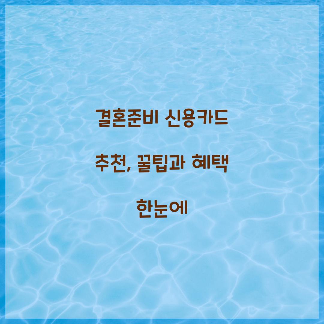 결혼준비 신용카드