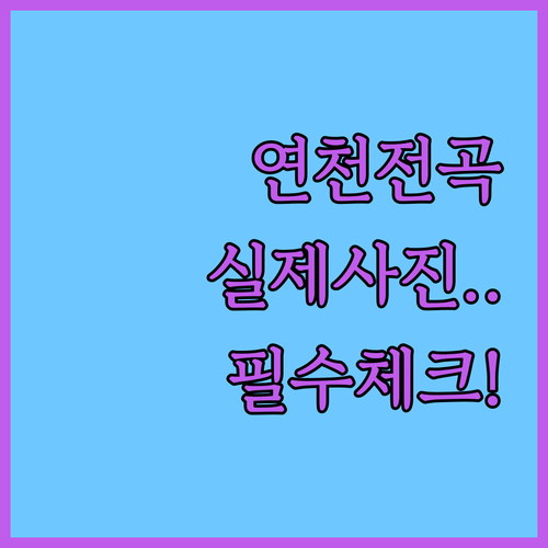직접 고른 연천 전곡 숙소 추천 리스..