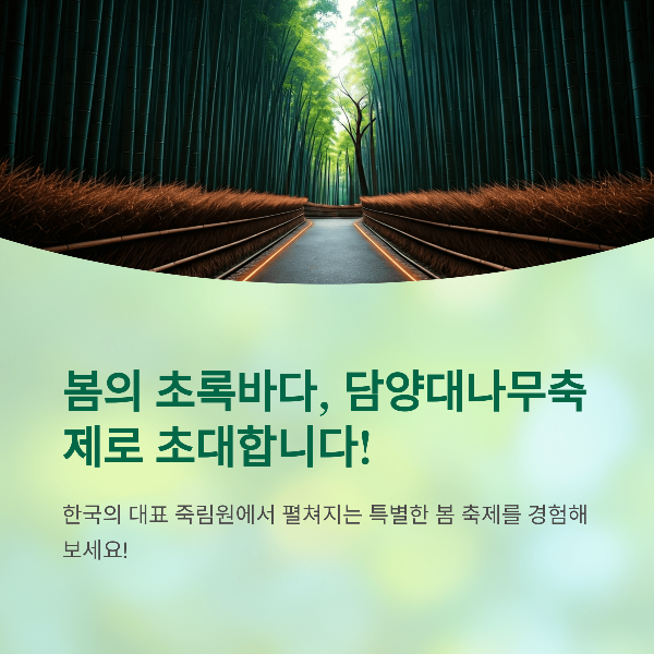 대나무 향 가득한 담양 대나무 축제! 생생 후기부터 여행 꿀팁 전부 알려드려요