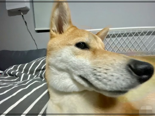 초광각 촬영
