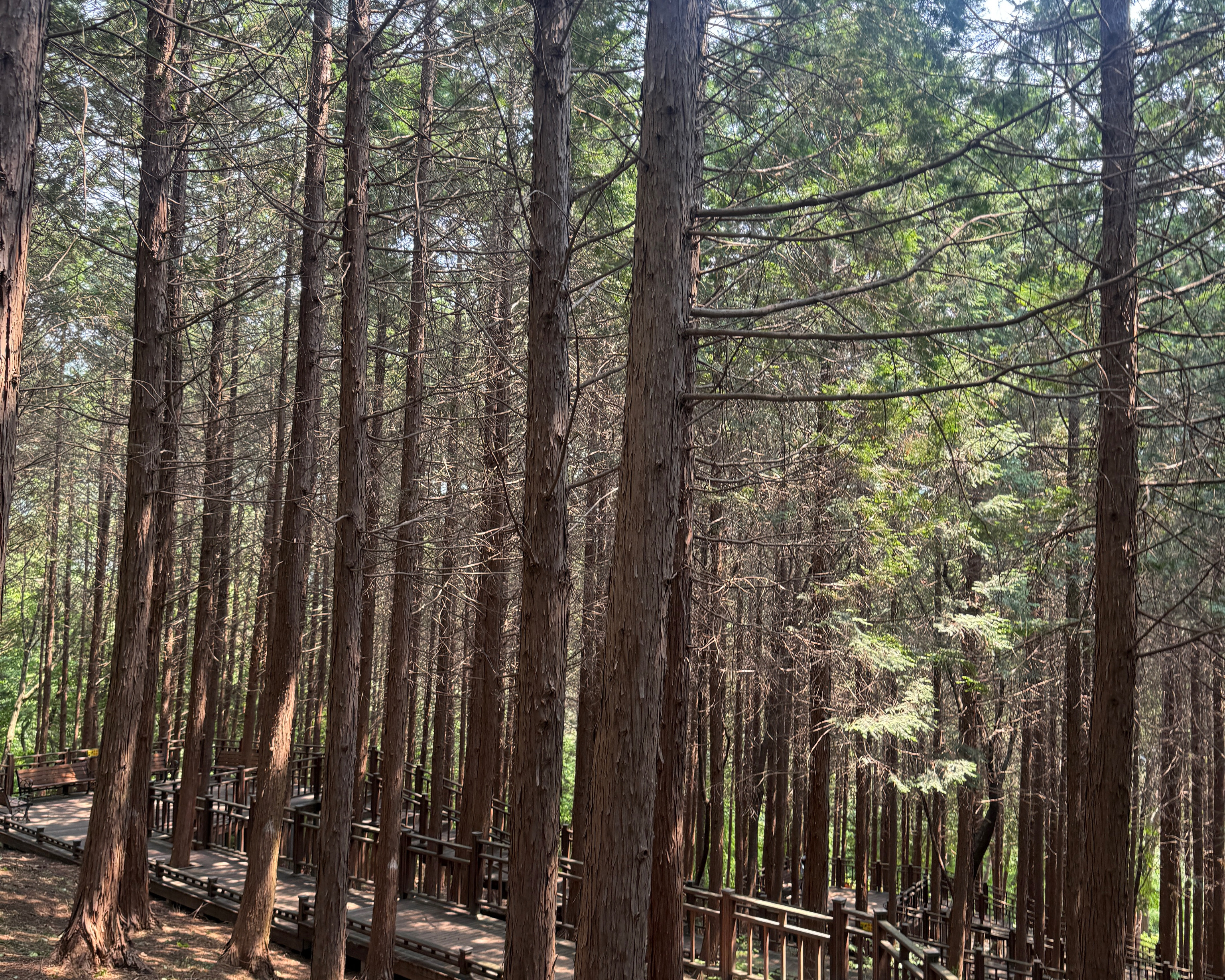 수만리생태숲공원